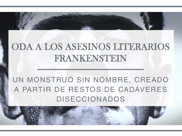 asesinos-literarios-frankenstein---Arantxa-Rufo